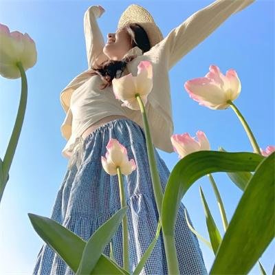 美丽新世界2：女王任务封面